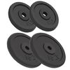 vidaXL kangi kettad, 4 tk, 2 x 10 kg + 2 x 5 kg, malm