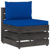 Blue_and_grey