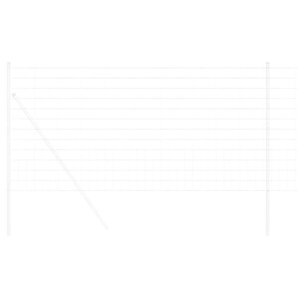 vidaXL Euroopa aed 1 x 25 m PVC-kaetud raud