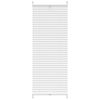 Plisseekardin 50 x 100 cm valge