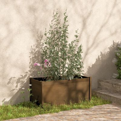 vidaXL aia taimekast, meekarva, 100 x 50 x 50 cm, toekas männipuit
