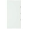 vidaXL ukse varikatuse k&uuml;lgpaneelid 2 tk, l&auml;bipaistev karastatud klaas