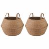 vidaXL K&auml;siga taimepott 2 pcs Naturaalne &Oslash; 32 x 32 cm 100% Mererohi