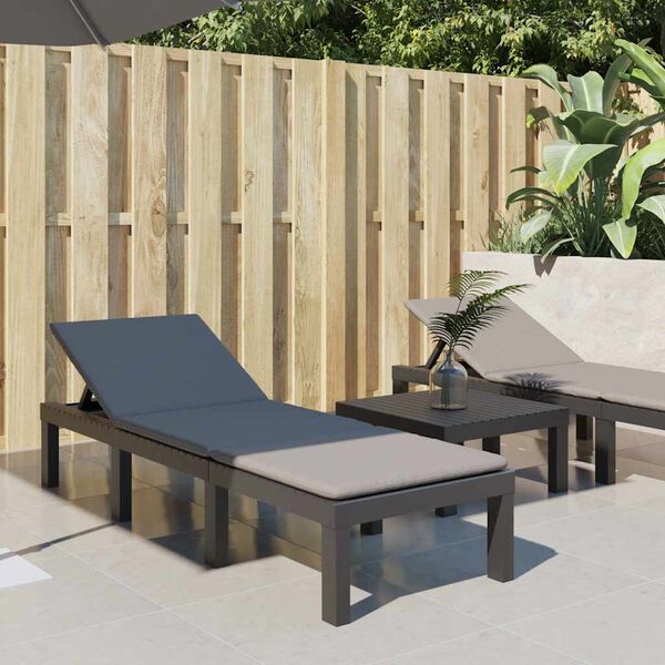 vidaXL p&auml;evitustool koos patjadega, antratsiithall, PP