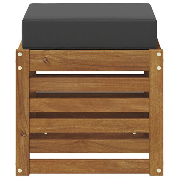 vidaXL Stoolben&scaron; padjaga 2 T&uuml;kk Looduslik ja antriit Tugev akatsiapuu