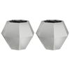 vidaXL Taimekast 2 pcs H&otilde;bedane 50 x 50 x 40 cm Tsinkteras