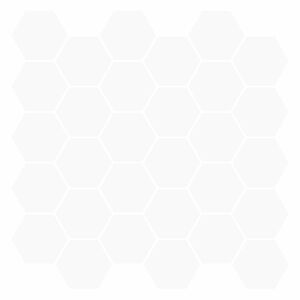 vidaXL Heksagonaalne plaat 10 pcs Valge 30 x 30 cm Pol&uuml;uretaan ja PET