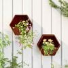 vidaXL seina taimekastid 2 tk, rooste, Corten teras, 30x10x25 cm