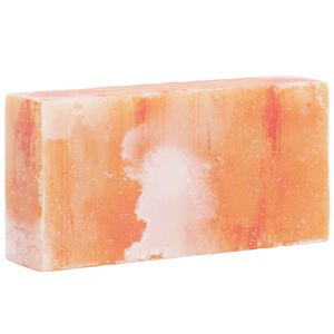 vidaXL Soolakivid 10 pcs Roosa 20 x 10 x 5 cm Soole kivi