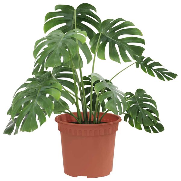 vidaXL &Uuml;mmargune lillepott 24 pcs Kohviroosa &Oslash; 12,5 x 10 cm Plastmass