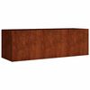 vidaXL taimekast, 120 x 40 x 40 cm, Corten-teras