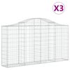 vidaXL kaarekujulised gabioonkorvid 3 tk, 200x30x100/120 cm, raud
