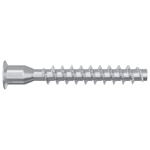 vidaXL Kinnituskruvid 2 pcs H&otilde;bedane &Oslash;7 x 50 mm Metall