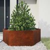 vidaXL taimekast, rooste, 138x120x45 cm, Corten teras