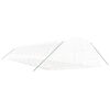 vidaXL kasvuhoone terasraamiga, valge, 120 m&sup2;, 20x6x2,85 m