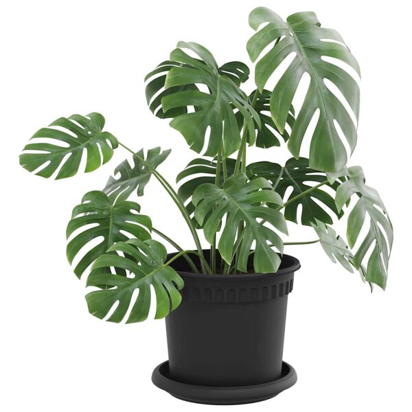 Kuvatakse tootepilt 3 / 12