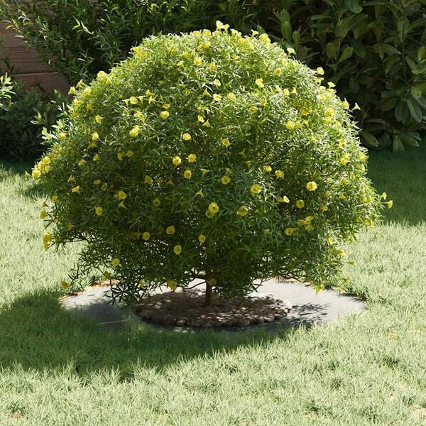 vidaXL sobiv lame puu rõngale Hõbedane Ø30 / 60 cm Tsingitud teras