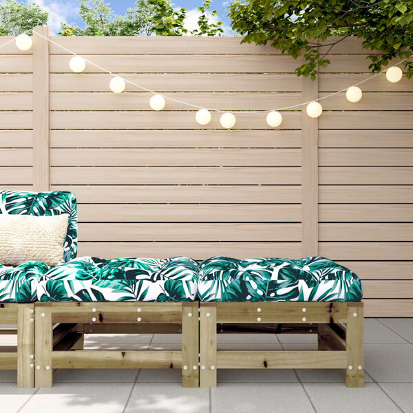 vidaXL aia jalapingid istmepatjadega 2 tk, immutatud männipuit