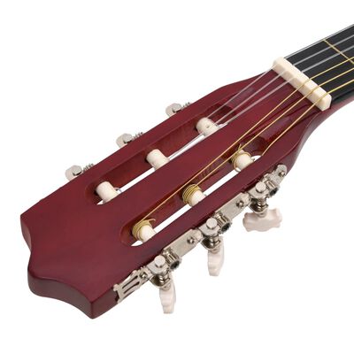 vidaXL 12-osaline akustilise kitarri komplekt 6 keelega, 38''