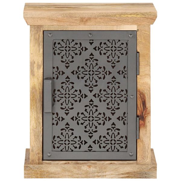 vidaXL uksega &ouml;&ouml;kapp, 40 x 30 x 50 cm, mangopuit