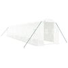 vidaXL kasvuhoone terasraamiga, valge, 24 m&sup2;, 12x2x2 m