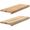 vidaXL trepiastmed 2 tk, 70x25x2 cm, t&ouml;&ouml;tlemata tammepuit