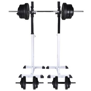 vidaXL kangi- ja k&uuml;kiraam kangi ja hantlitega 60,5 kg