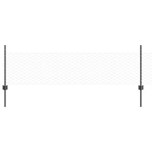 vidaXL Aed koos postiga Hall 0,5 x 50 m Terased ja PVC