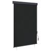 vidaXL v&auml;liruloo 120 x 250 cm, antratsiithall