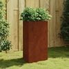vidaXL aia taimekast, 50 x 43 x 75 cm Corten teras