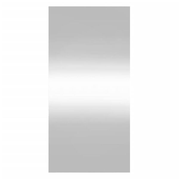 vidaXL seinapeegel, 30 x 60 cm, klaas, ristkülik