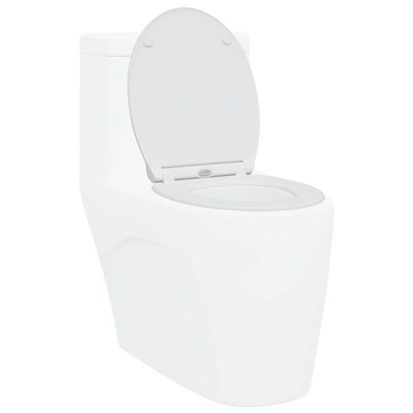 vidaXL Kiire vabastamise WC, sobiv istmele Valge 45,5 x 37,5 x 3,8 cm