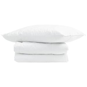 vidaXL Suvised teki padjaga 2 pcs Valge Down Feather