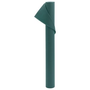 vidaXL taime fliiskate, 70 g/m&sup2;, 10x1,6 m