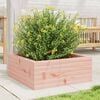 vidaXL aia taimekast, 60 x 60 x 23 cm, ebatsuuga puit