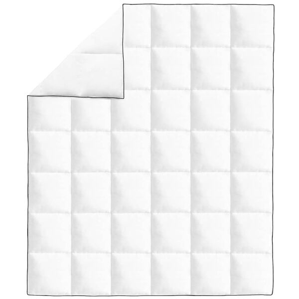 vidaXL talvine suletekk, 200 x 220 cm