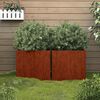 vidaXL taimekast, 2 tk, 32x30x29 cm, Corten teras