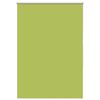 vidaXL pimendav ruloo lehed rohelised 105x150 cm kanga laius 40,7 cm