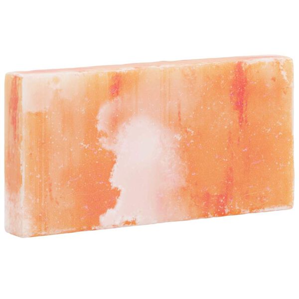 vidaXL Soolakivid 10 pcs Roosa 20 x 2,5 x 10 cm Soole kivi