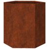 vidaXL taimekast, rooste, 40x40x45 cm, Corten teras