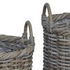 vidaXL Istutuskorv ladustamisega 3 pcs Kubu Hall Kubu rattan