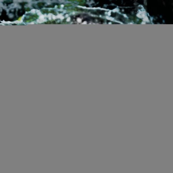 Intexi LED-bassinipihusti PP 28089