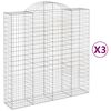 vidaXL kaarekujulised gabioonkorvid 3 tk, 200x50x200/220 cm, raud