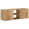 vidaXL Seina TV Kapid riiuliga ladustamisega uksega 100 x 30 x 35 cm