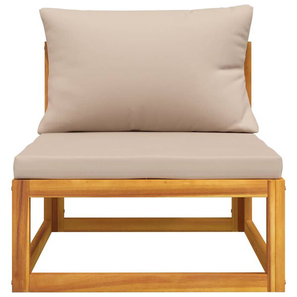 vidaXL aiadiivani keskmine osa pruunikashallide patjadega, akaatsia