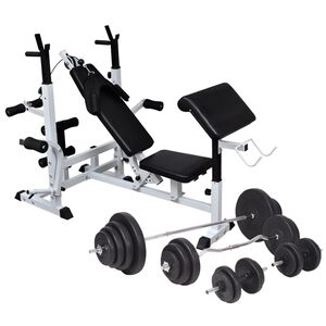 vidaXL t&otilde;stepink t&otilde;steraskuse hoidikute, kangide ja hantlitega 120 kg