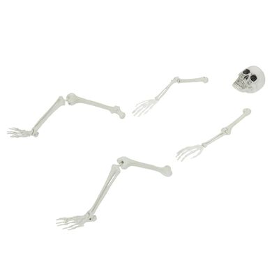 Halloweeni skelett maavaiadega valge 45,5 x 13 cm