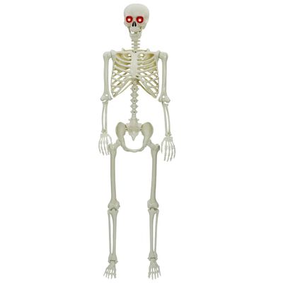 Halloweeni skelett valge 155 x 38,5 cm