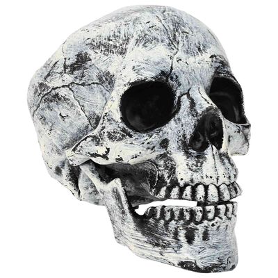 Halloweeni koljud SPOOKA 2 tk valge 12 x 15 x 17,5 cm