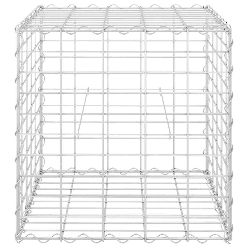 vidaXL kuubikukujuline gabioon-taimelava, teras 50 x 50 x 50 cm